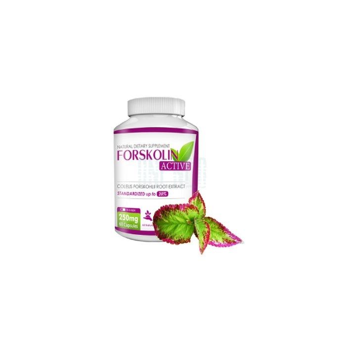 Forskolin active ◦ slimming capsules ◦ in Zvolen