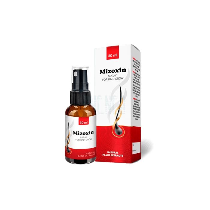 Mizoxin ◦ hair restoration product ◦ in Bremen