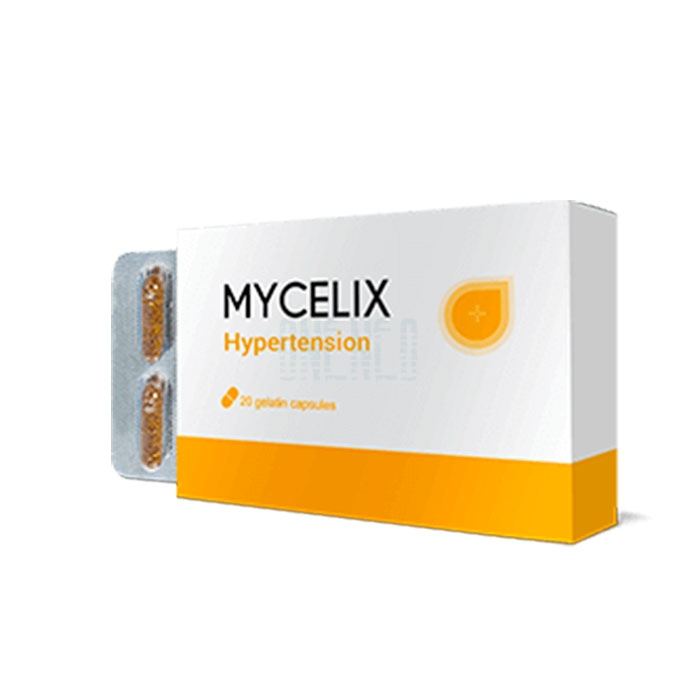 Mycelix ◦ rimedio per l`ipertensione ◦ a Braila